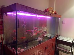 -逸栈养生SPA(望京店)