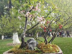 -荆川公园
