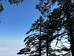 -瓦屋山景区
