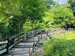 -雁南飞茶田景区