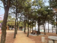 -东海森林温泉度假酒店