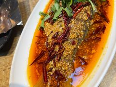-大张烙馍村·美食地标(泉山店)