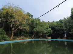-东澳岛