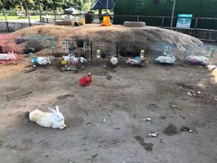 -前小桔亲子创意农场·草莓采摘·露营烧烤