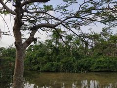 -白沙门生态公园