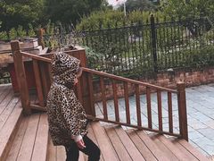 -中国地质大学逸夫博物馆