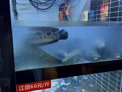 -万和源炝锅城·活鱼现炝(文艺北路店)