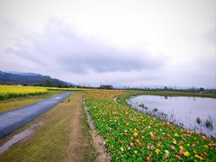 -径山花海