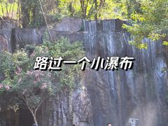 -西双版纳原始森林公园