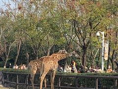 -南昌动物园