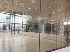 -陈露国际冰上中心(天津嘉里汇店)