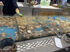 -半岛听涛蒸汽海鲜自助(K11店)
