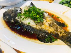 石斑-老字号蛇口德记烧腊饭店·海鲜加工