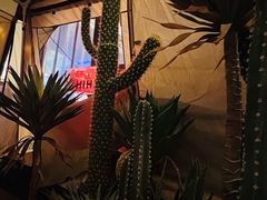 -HIHE Bistro·Oyster Bar(华熙live店)