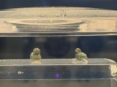 -合浦汉代文化博物馆