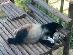 -大连森林动物园