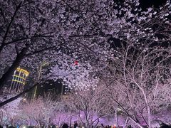 -西北湖绿化广场