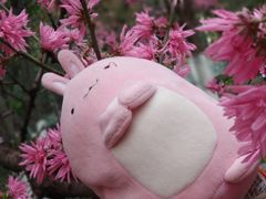 -济南南郊宾馆