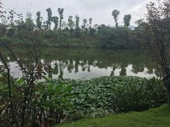 -东岳体育公园