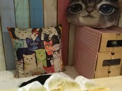 -小时光咖啡馆(开森度假森林店)