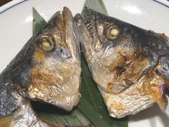 烤川乌鱼头-加奈日本料理