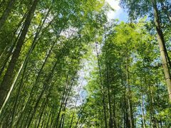 -千泷沟大瀑布旅游区