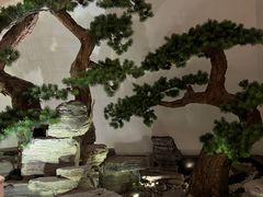 -北苑汤泉