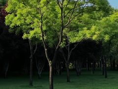 -北坞公园