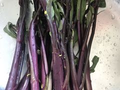 红菜苔-川香鼎盛(市桥富华总店)