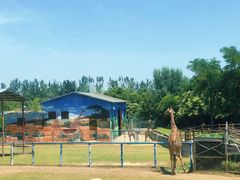 -西安秦岭野生动物园