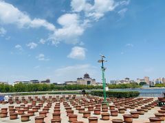 -莲花池公园