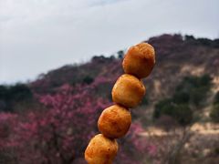 -新建村梅花