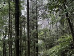 -虎跑公园