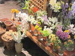 -粘芭喃腊云南的菜