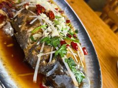 -崂山水果园农家宴(泉水鸡店)