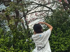 -仙岳公园