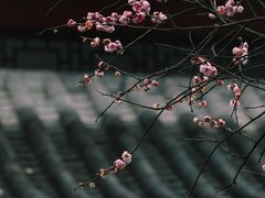 -南山植物园