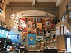 餐饮设施-猫咪博物馆(顶澳仔猫街店)