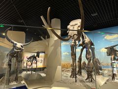 -国家自然博物馆