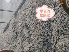 -武汉动物园