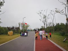 -上海长兴岛郊野公园