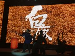 -陕北民歌大舞台