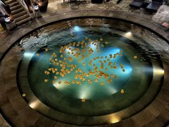 -东吴水韵(吴中店)