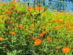 -长兴岛郊野公园农场食堂