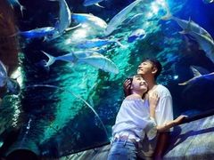 -大连圣亚海洋世界
