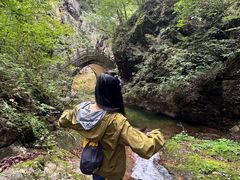 -牛背梁国家森林公园