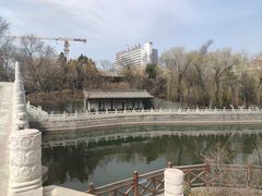 -迎泽公园