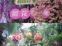 -正佳雨林生态植物园