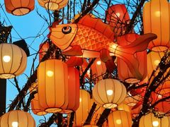 -龙湖星悦荟(颐和店)