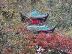 -岳麓山风景名胜区